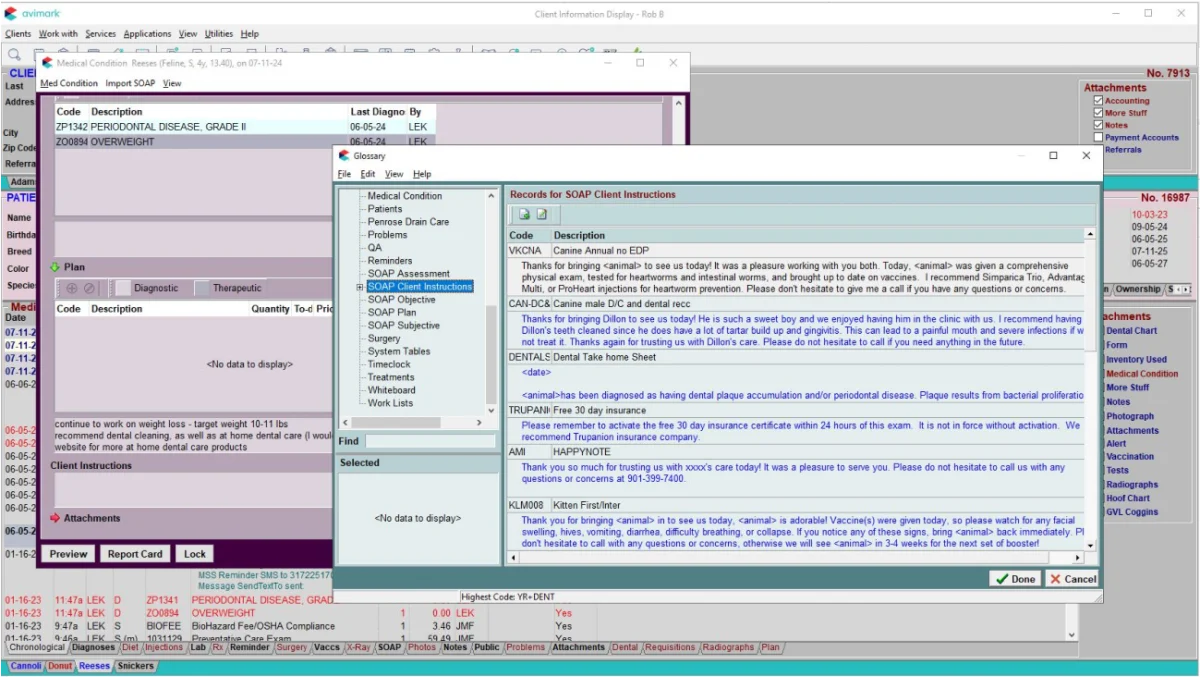 Avimark Client Information Display with a patient medical condition record and the Glossary window open over it