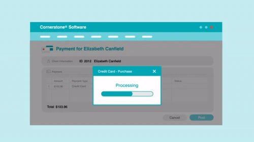 Cornerstone Software payment screen processing a credit card purchase
