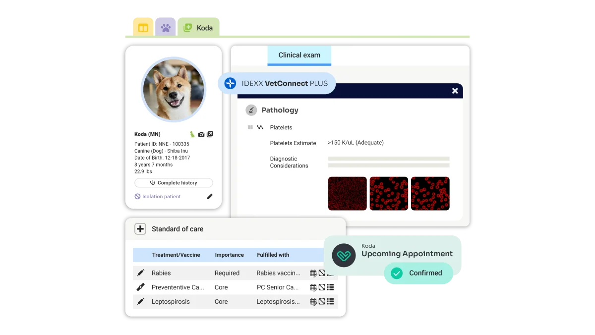 ezyVet patient record mockup with IDEXX VetConnect PLUS pathology results, a Standard of care vaccine table and an upcoming appointment confirmation