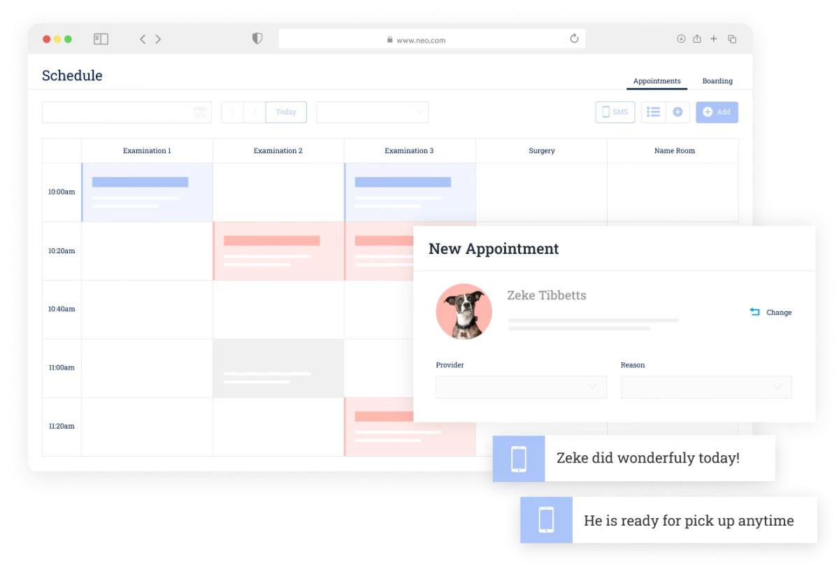 IDEXX Neo schedule with exam room columns, a New Appointment card for a patient and two text message bubbles