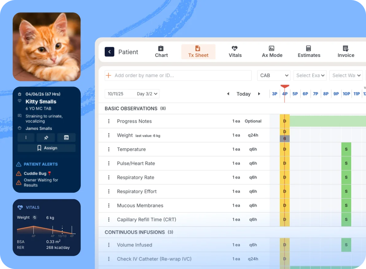 Instinct EMR treatment sheet for a cat patient, with the patient card, patient alerts and a vitals chart beside it