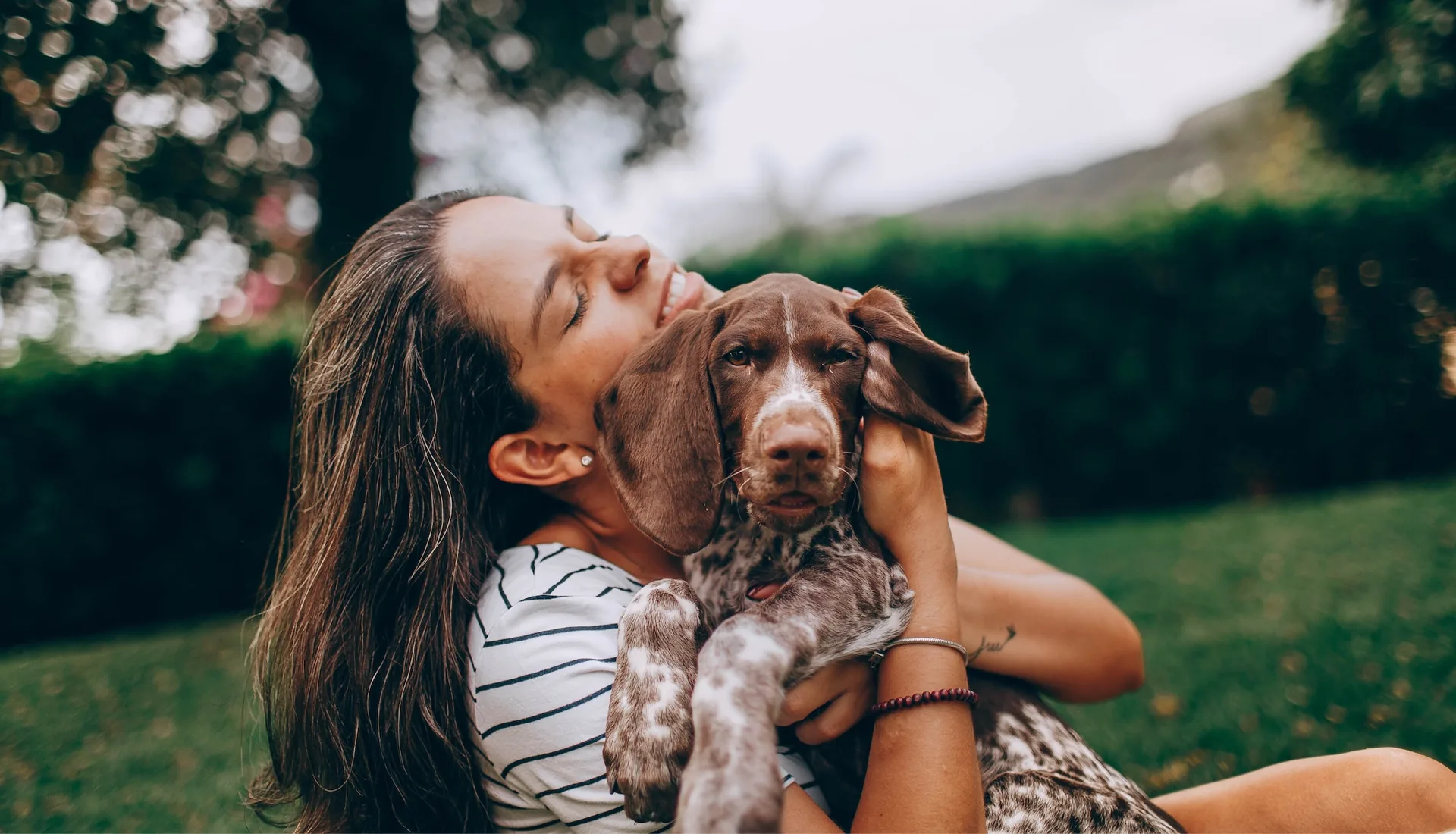 The channels a veterinary practice can use to market itself, from its website to reviews to paid ads
