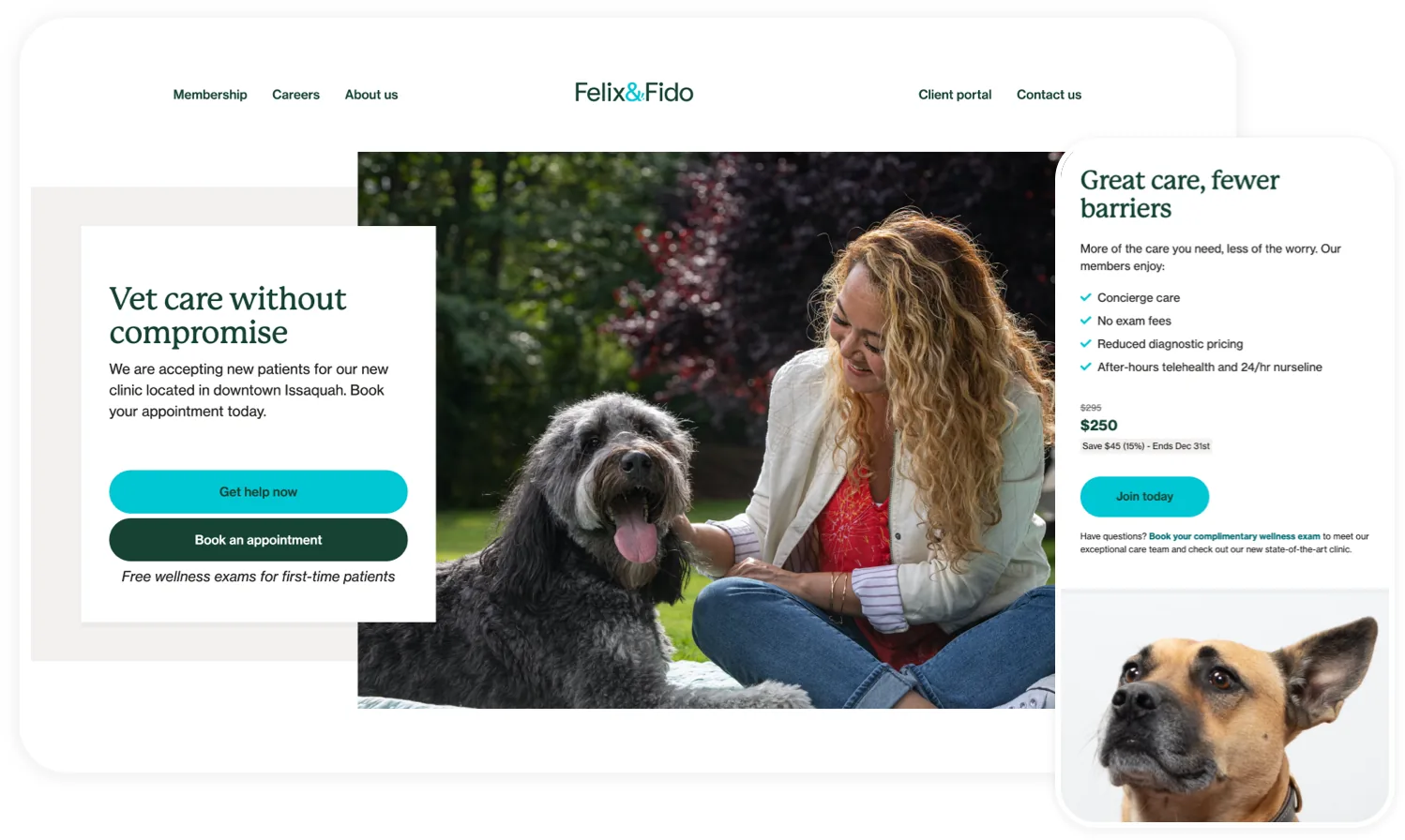 The Felix&Fido veterinary website shown on desktop and mobile